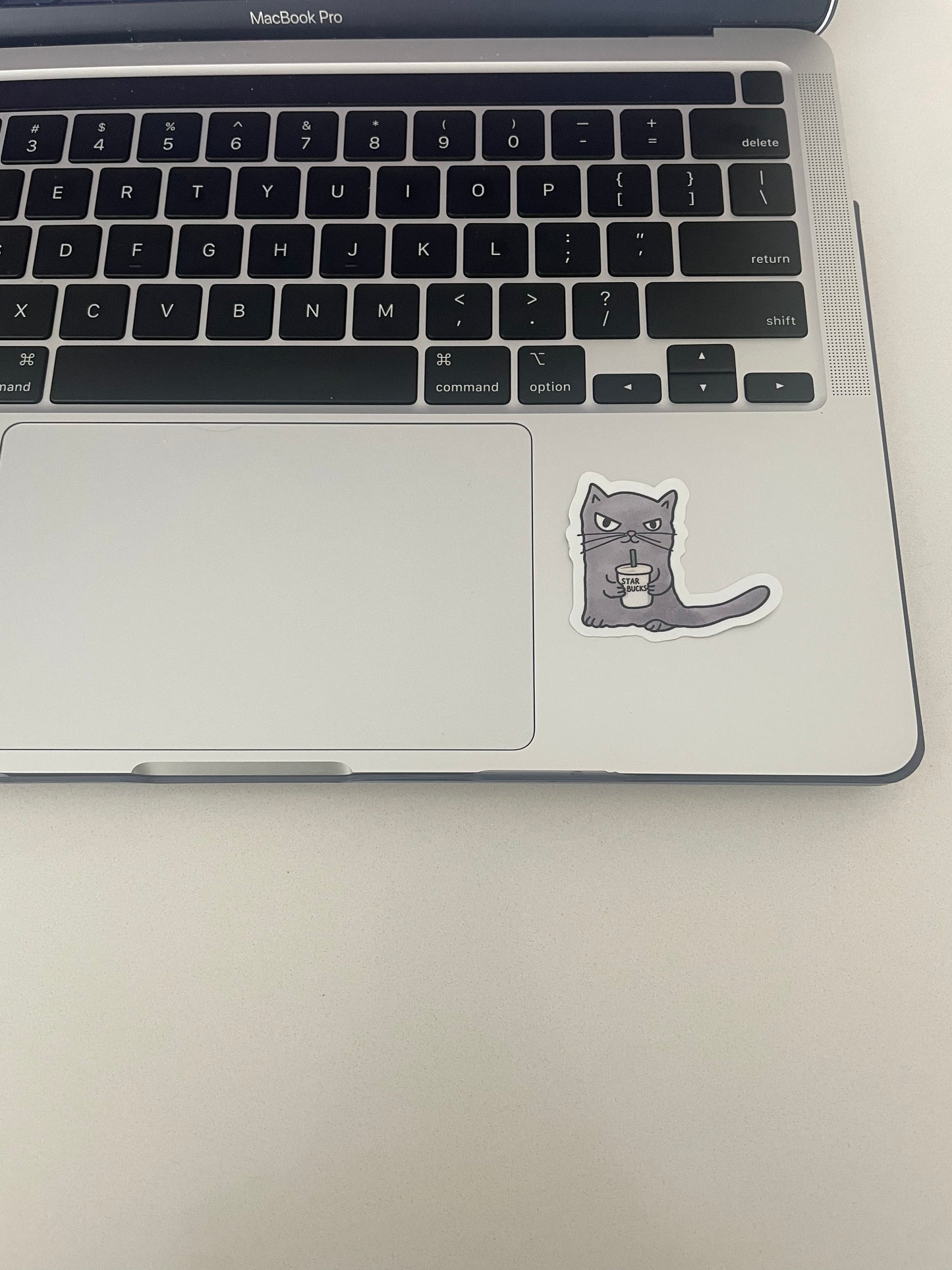 Grumpy Cat drinking coffee