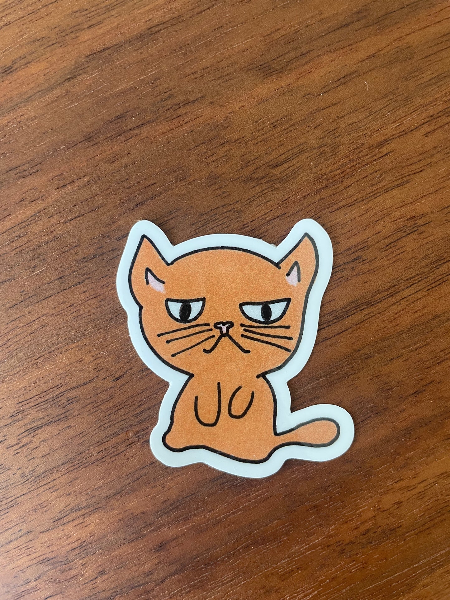 Grumpy Stewie Cat